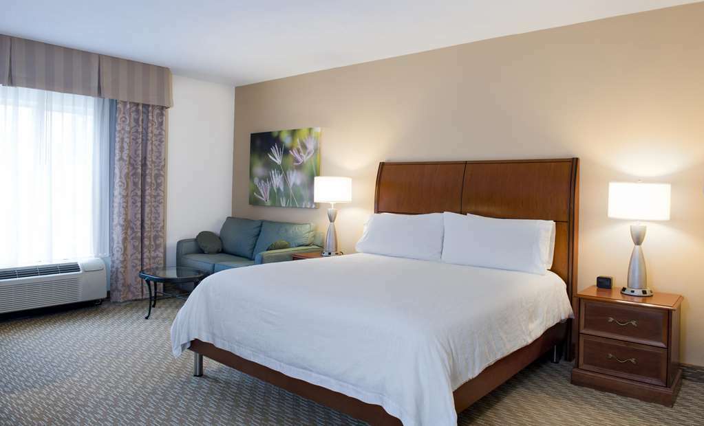 Hilton Garden Inn Charlotte North Pokój zdjęcie